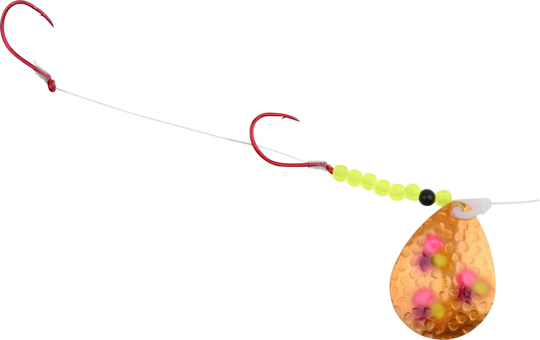 dsfishingspot1118317