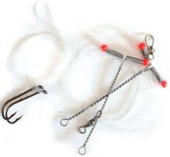 dsfishingspot1118563