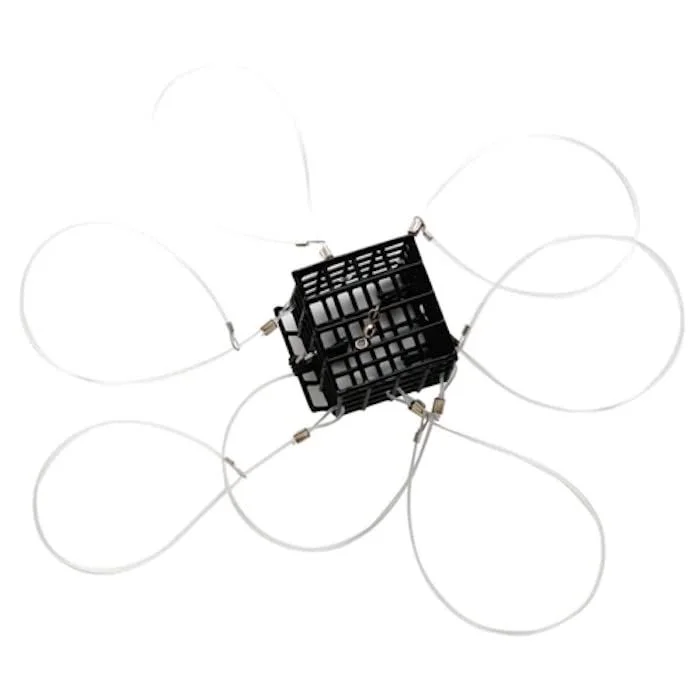 dsfishingspot1118598
