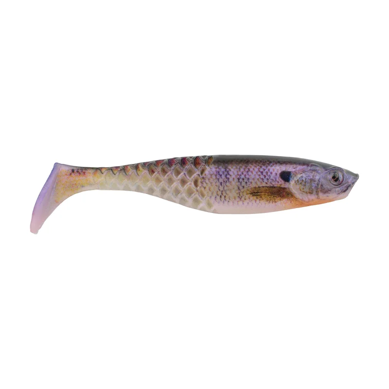 dsfishingspot1119051