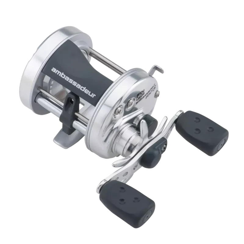 dsfishingspot1119216