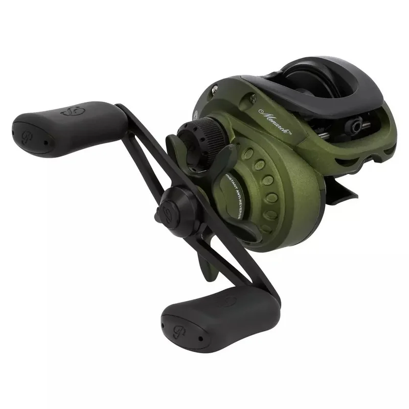 dsfishingspot1119330