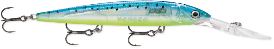 dsfishingspot1119738