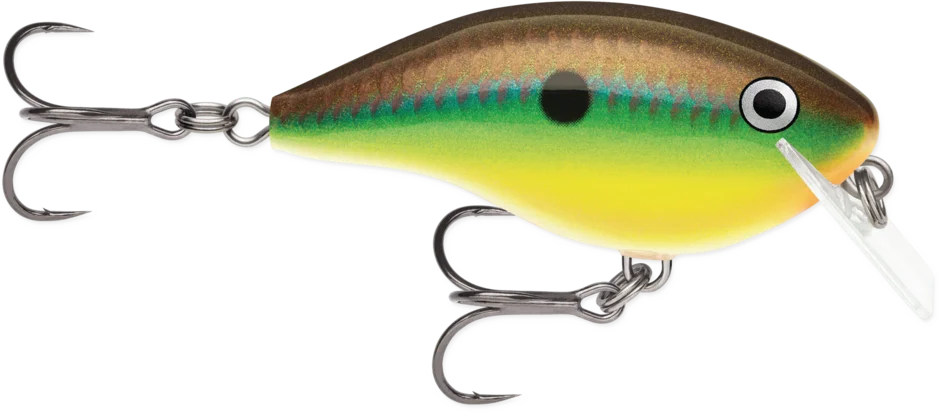 dsfishingspot1119767