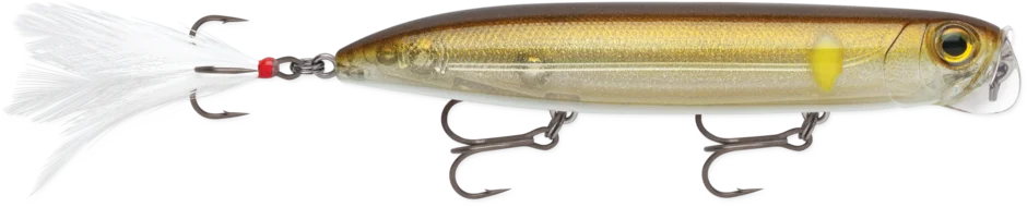 dsfishingspot1119773