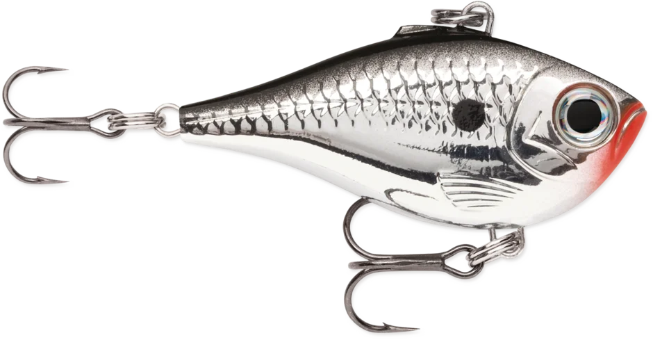 dsfishingspot1119801
