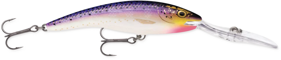 dsfishingspot1119845