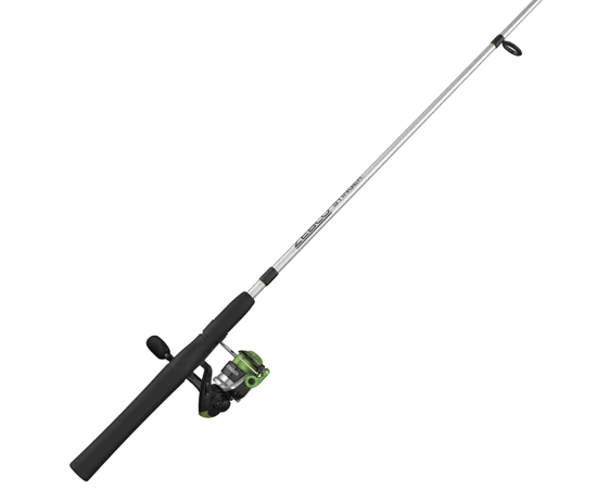 dsfishingspot1120129