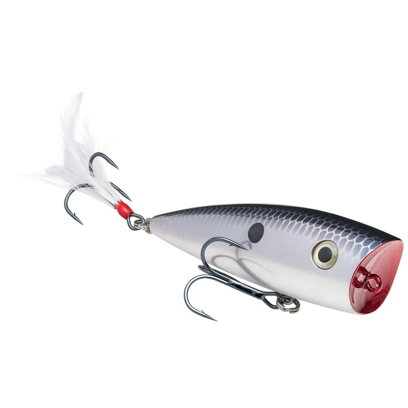 dsfishingspot1120201