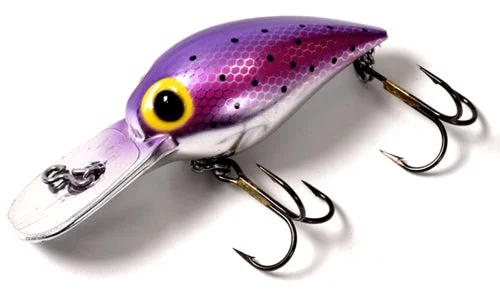 dsfishingspot1121044