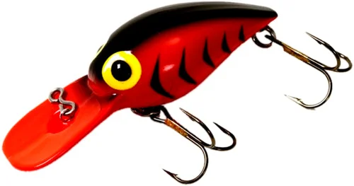 dsfishingspot1121052