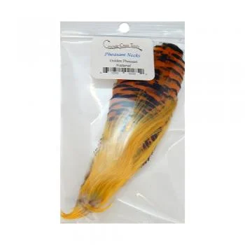 dsfishingspot1122197