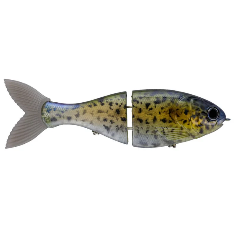 dsfishingspot1122649