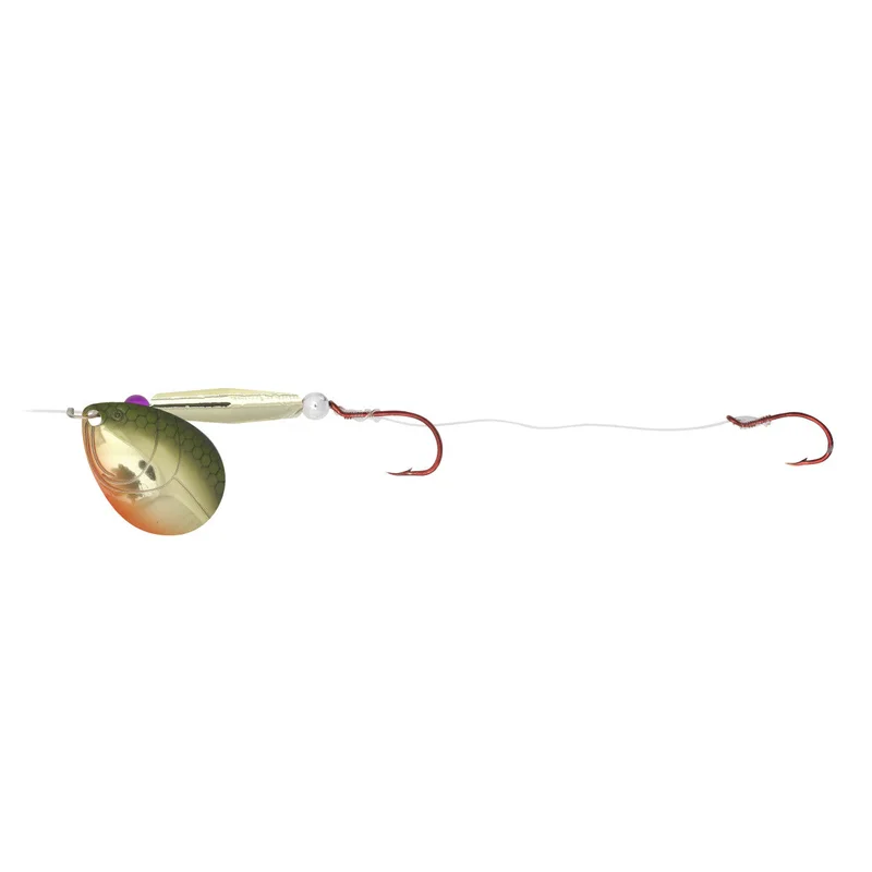 dsfishingspot1122674
