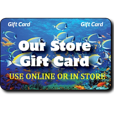fishermanswarehouse-1094066