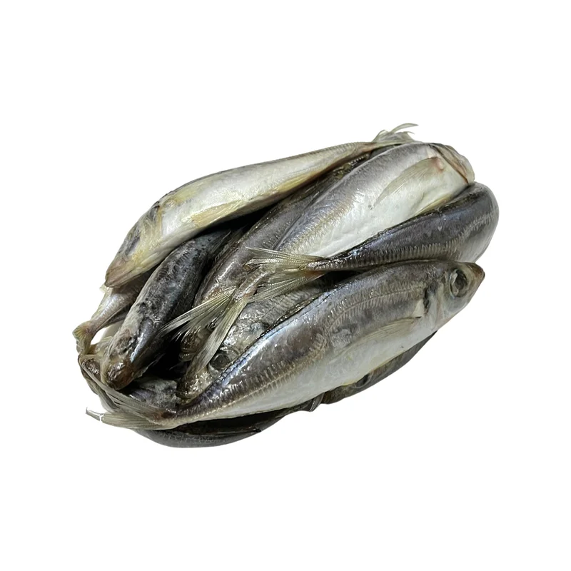 onestopmarine1163928