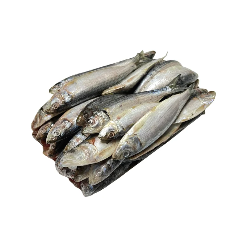 onestopmarine1164030