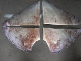 onestopmarine1165836