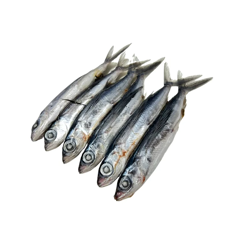 onestopmarine1167825