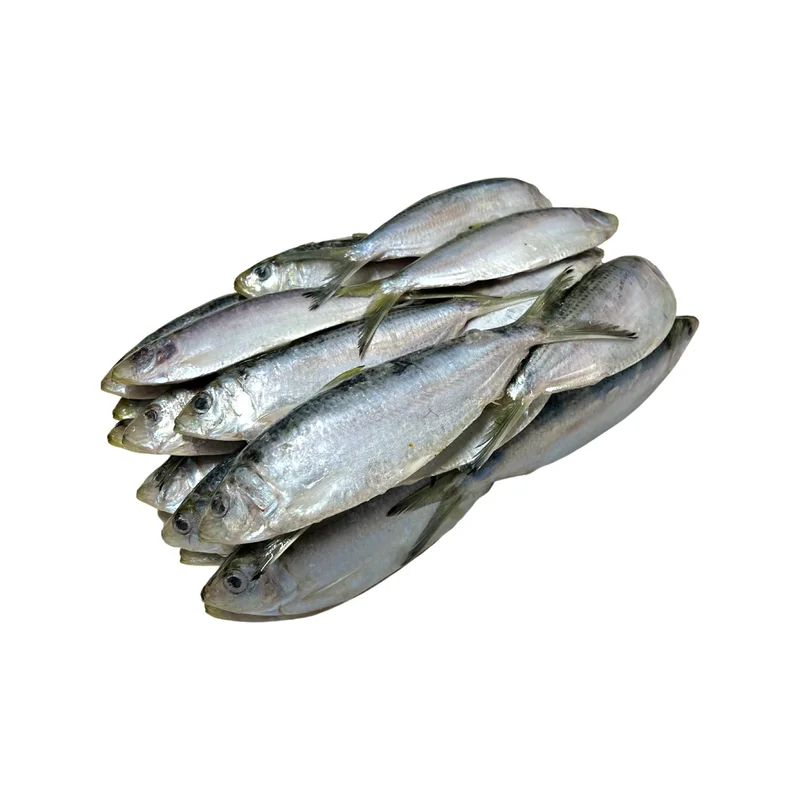 onestopmarine1169308