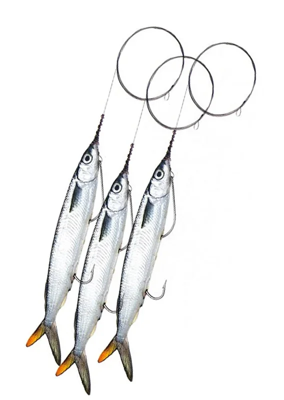 onestopmarine1172306