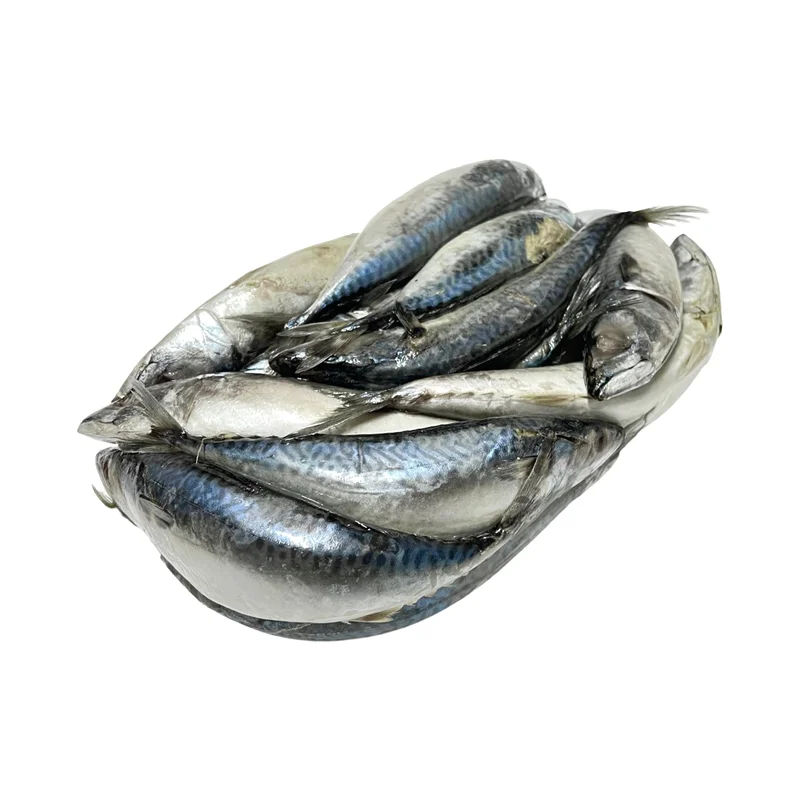 onestopmarine1172340