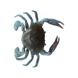 onestopmarine1180329