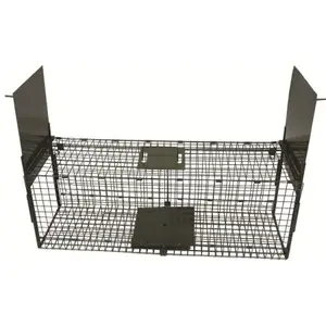 pecheur-store1-1098352