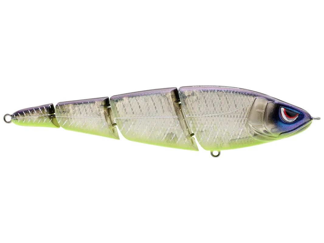 performancefishingelectronics31126631