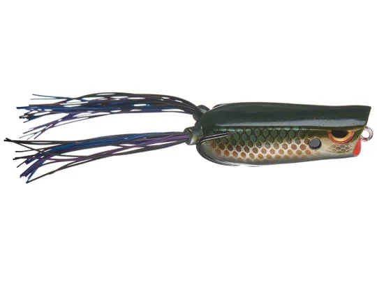 performancefishingelectronics31126652