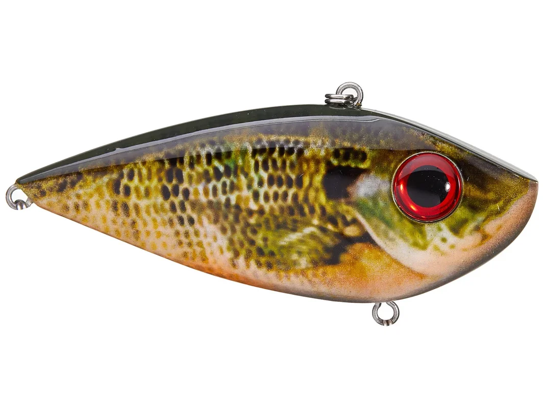 performancefishingelectronics31142775