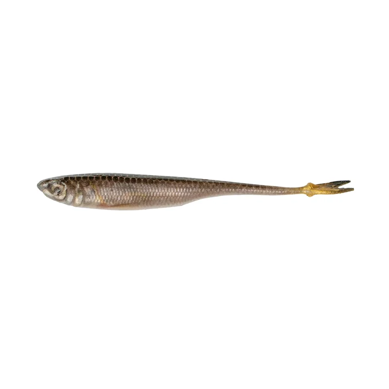 performancefishingelectronics31144875