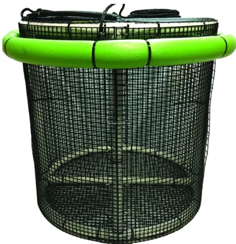 reeldealbaitandtackle1116166