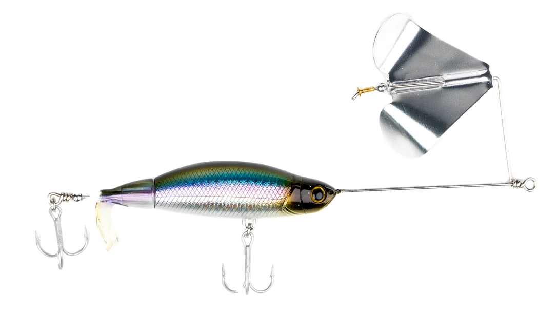 senditsailing1121279