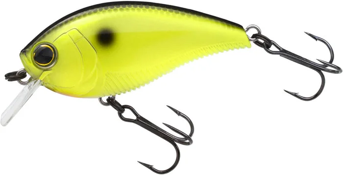 tackleaddict1148378
