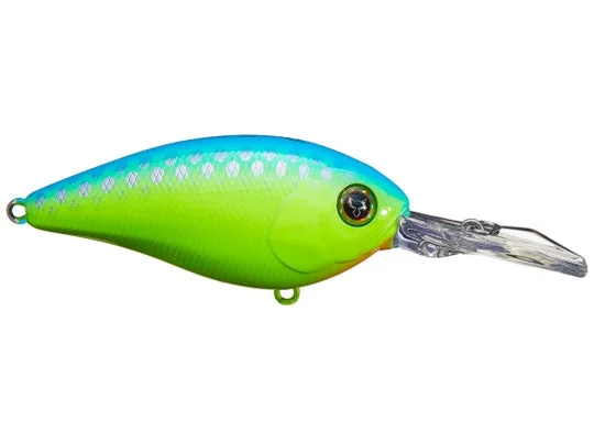 tackleaddict1153068