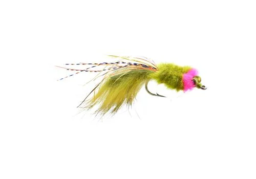 tailwatershop1144794