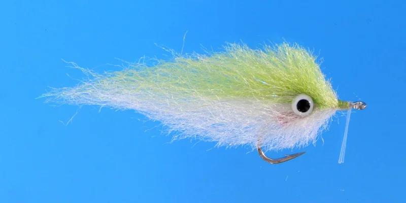 tailwatershop1144862