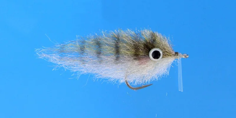 tailwatershop1144874