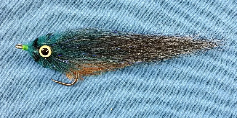 tailwatershop1144890