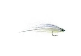 tailwatershop1145328