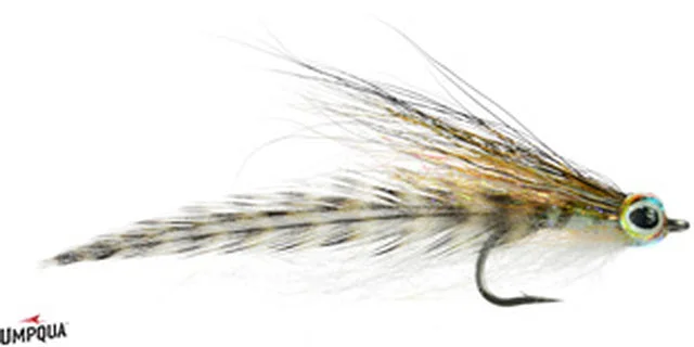 tailwatershop1145388