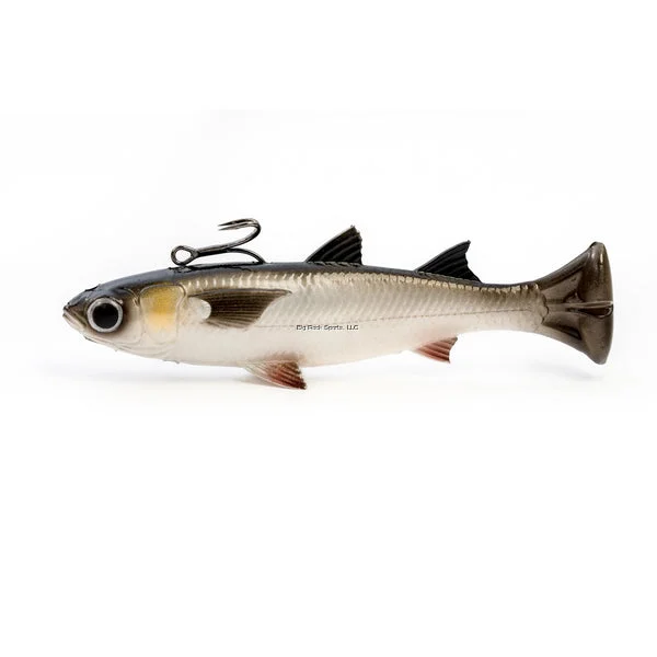 tailwatershop1145598