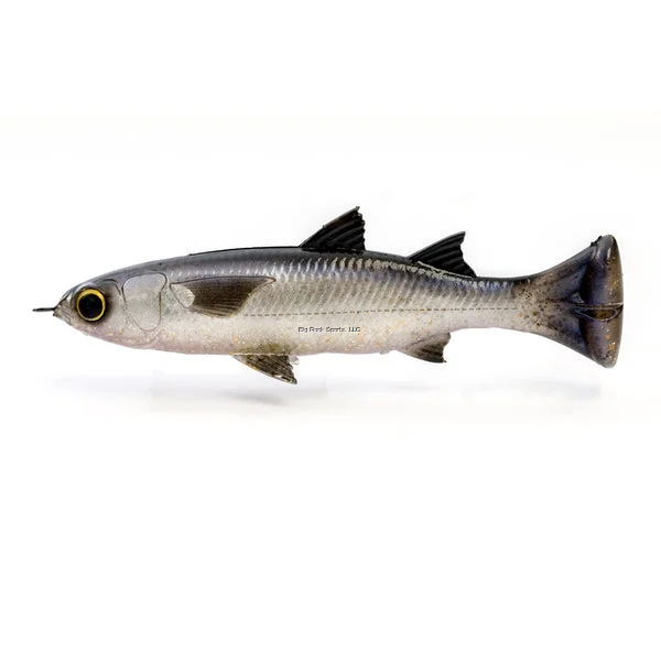 tailwatershop1145618