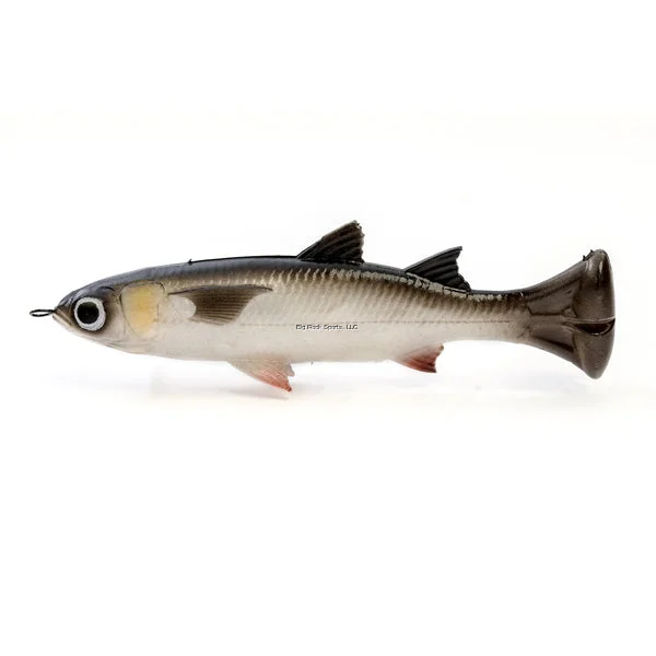 tailwatershop1145623