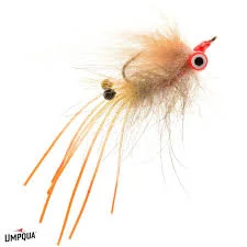 tailwatershop1146260