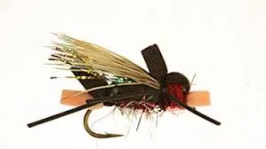 tailwatershop1146309