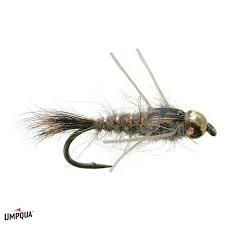 tailwatershop1146334