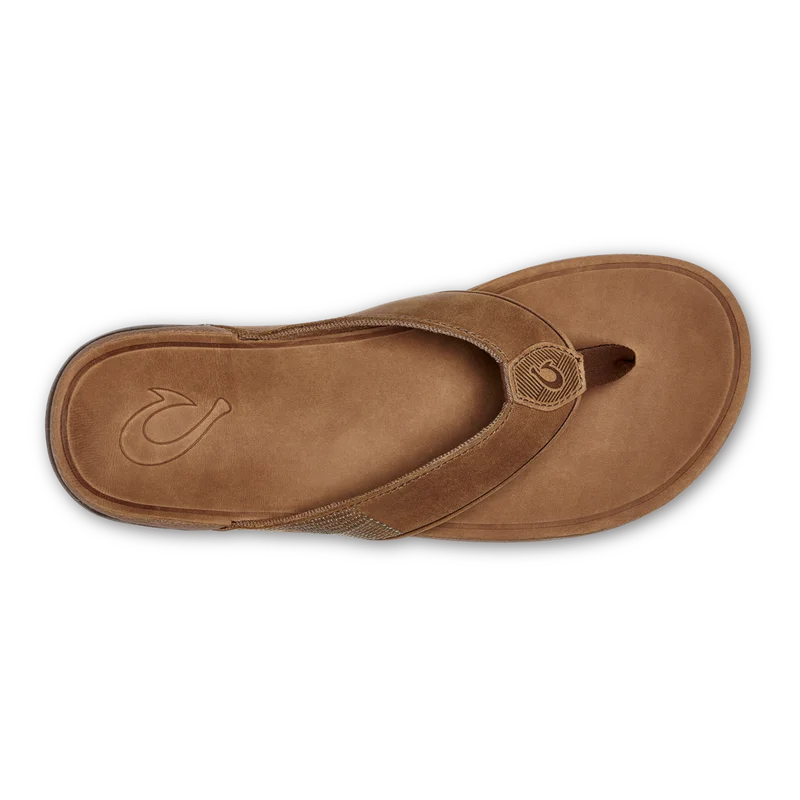 tailwatershop1146691