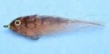 tailwatershop1146734